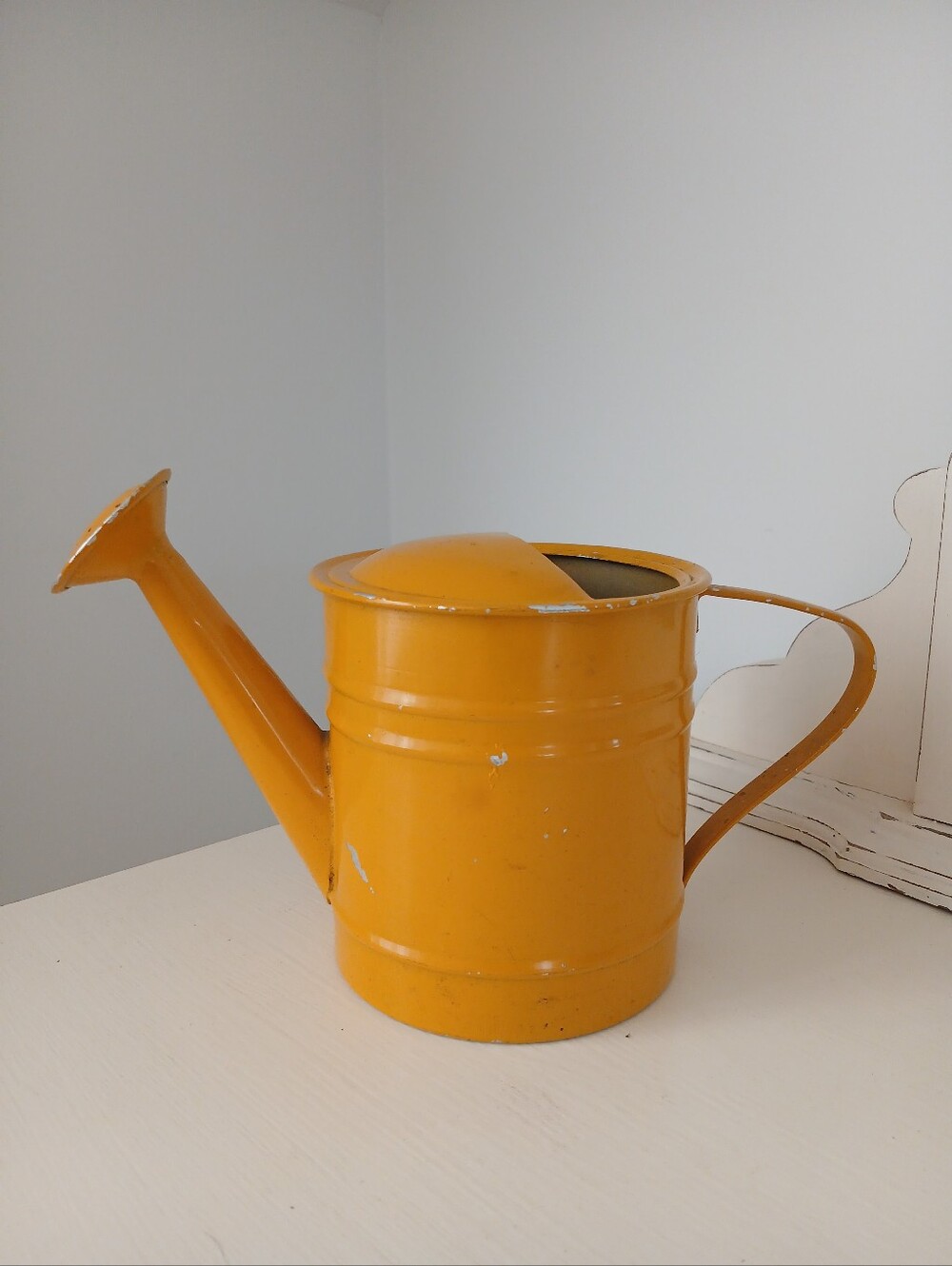 Small Vintage Ranch Style Metal Watering Can